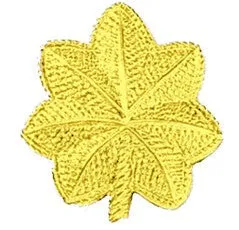 First Class Major Pin Insignia Pair (Gold/Silver)