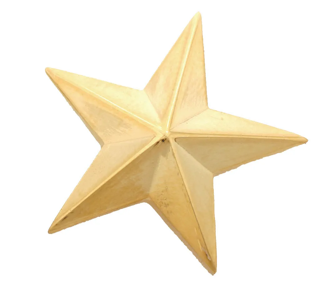First Class Star Insignia Pin Pair (Large)